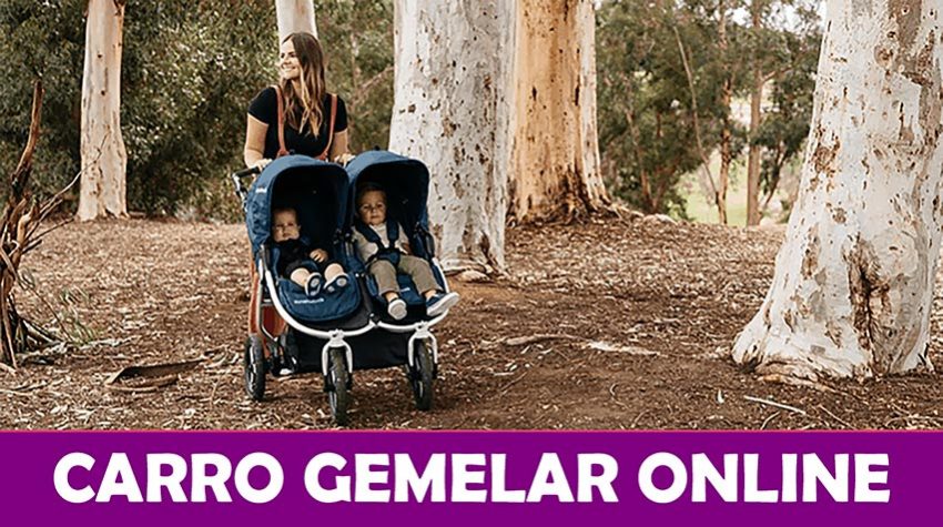 carro gemelar online